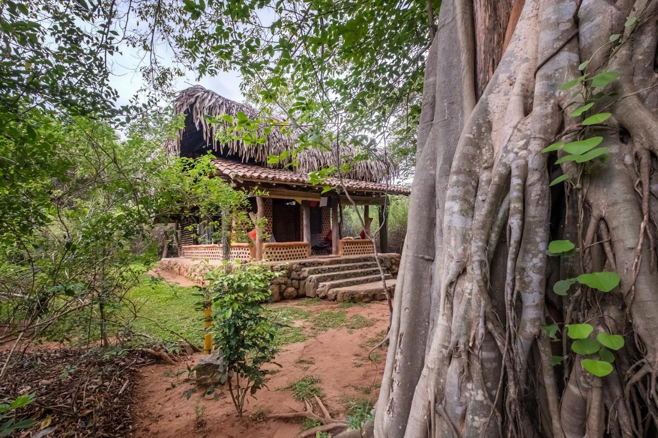 Banyan Camp Villa Hambegamuwa Exterior foto