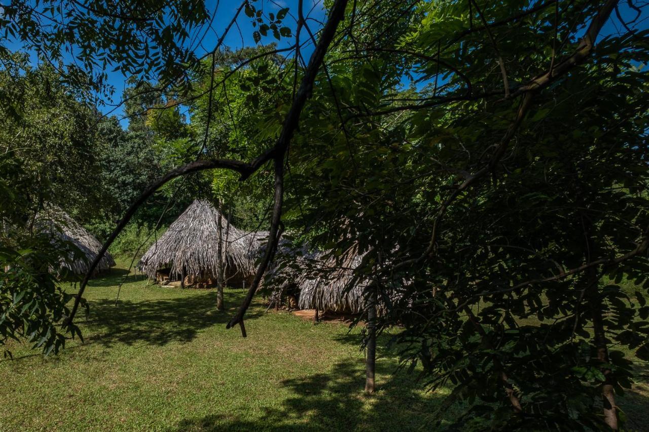 Banyan Camp Villa Hambegamuwa Exterior foto
